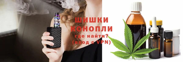 PSILOCYBIN Лабытнанги