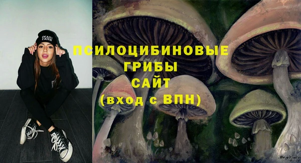 экстази Лагань