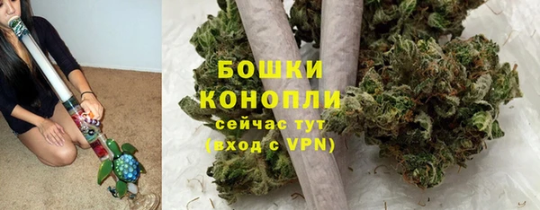 PSILOCYBIN Лабытнанги