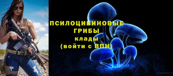 мескалин Ладушкин