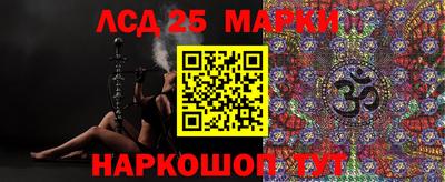 стаф Гатчина