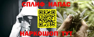 гидра Беслан