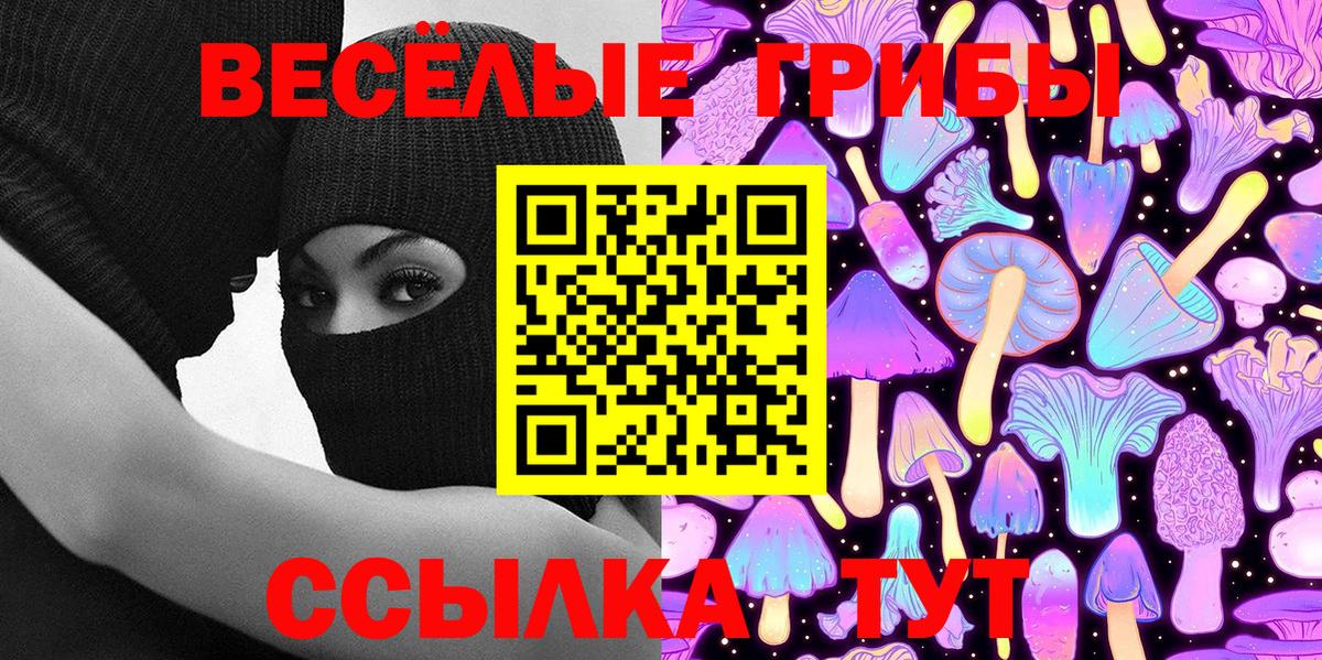 Псилоцибиновые грибы Psilocybine cubensis  Волгодонск  Галлюциногенные грибы MAGIC MUSHROOMS 