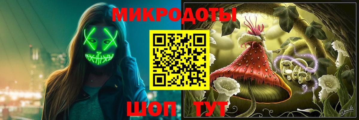 Волгодонск  Псилоцибиновые грибы Cubensis  Вход с VPN 